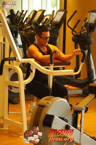 黄晓明香港酒店健身 举15磅哑铃大秀肌肉(图)