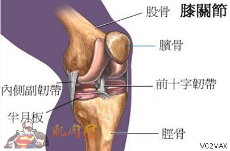 运动预防膝关节损伤 <wbr>（膝关节的损伤训练文章很多，大家都可以多看看！）