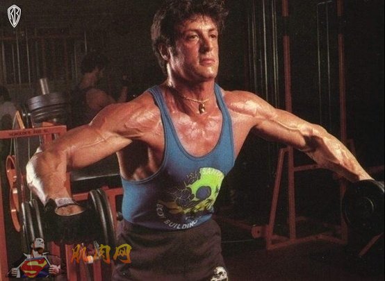 Sylvester Stallone by roberta