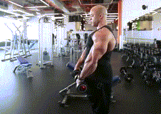 <a href=http://www.muscles.com.cn/sanjiaoji/ target=_blank class=infotextkey>三角肌</a>器械锻炼