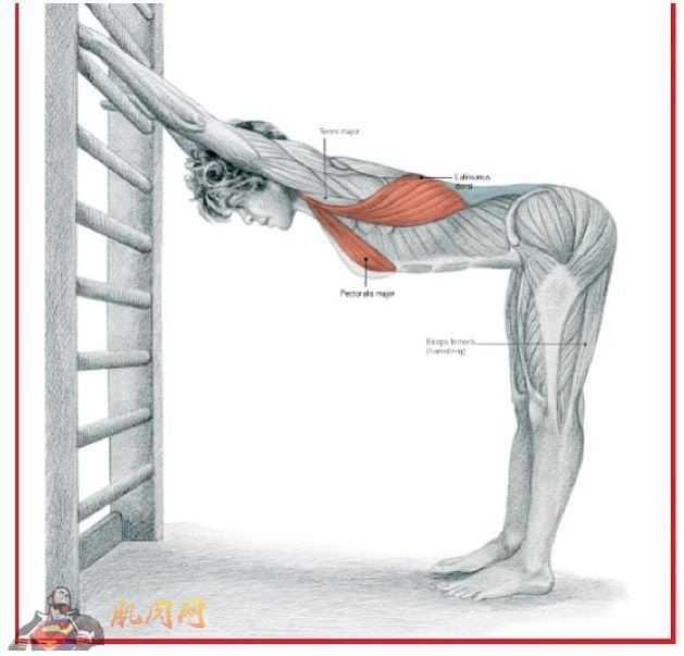 背部肌肉拉伸的4个方法