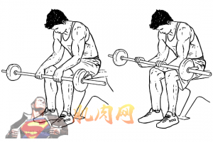 Seated_Palm-Down_Barbell_Wrist_Curl