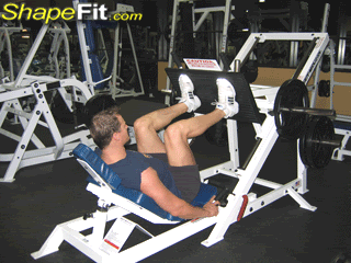 腿部肌肉锻炼方法大全,健身房如何训练大腿肌群、小腿肌群 