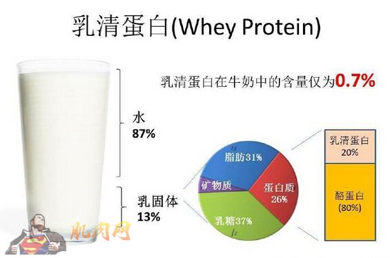简单图解乳清蛋白粉性价比