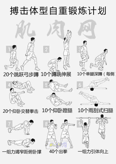 搏击体型自重锻炼计划