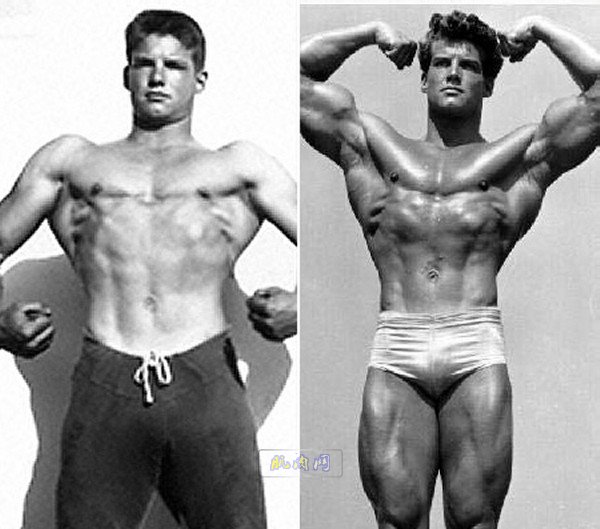 steve reeves before and after