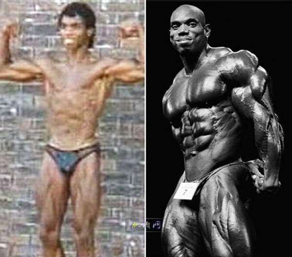 flex wheeler before and after