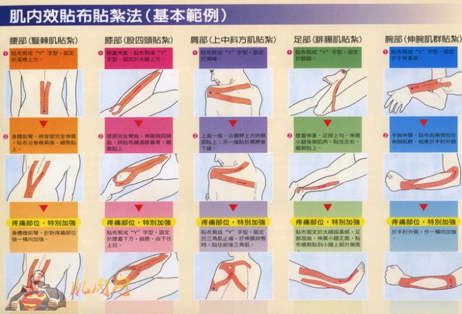 肌肉贴手腕贴法图片