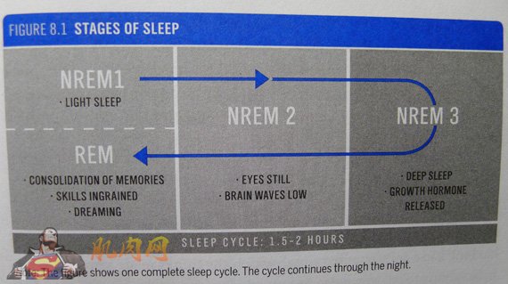 Stages Of Sleep