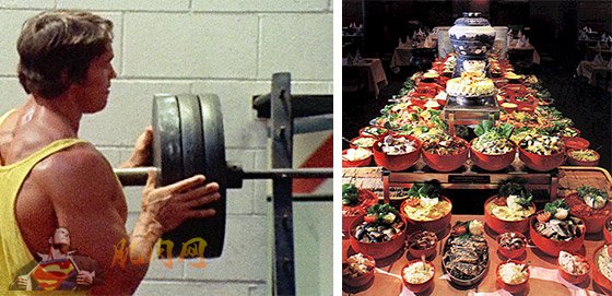 施瓦辛格蓝图第二十天:腰腿腹,丰富的大餐和残酷腿部训练