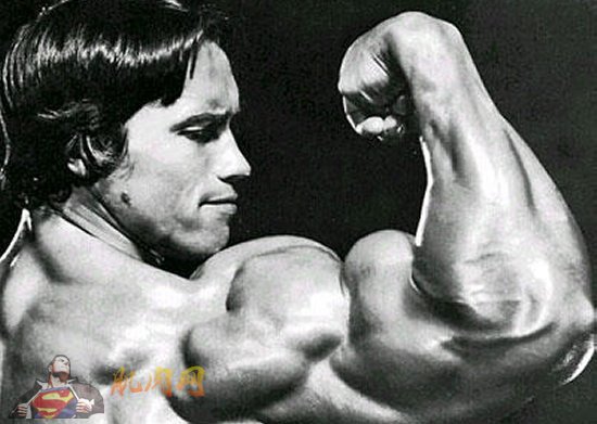 arnold-full-body-workout