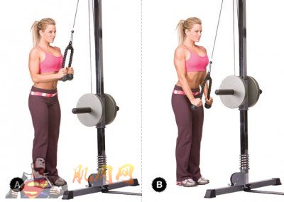 cable tricep pushdown