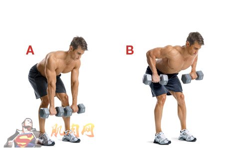 dumbbell bentover rows