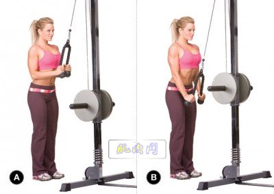 cable tricep pushdown