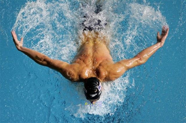 游泳运动员男 肌肉图片